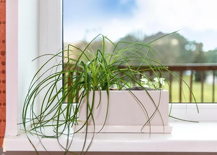 فندق Poilsio Namai 